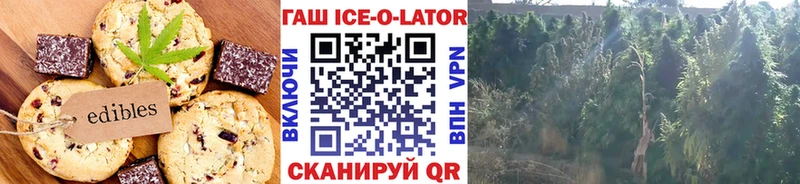 Купить закладки  Руза  Еда ТГК марихуана 