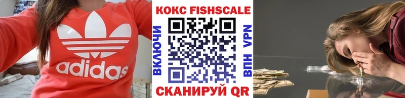 Купить закладки  Руза  COCAIN FishScale 