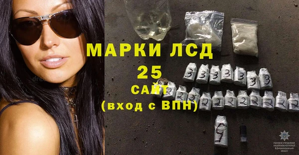 хмурый Каменка