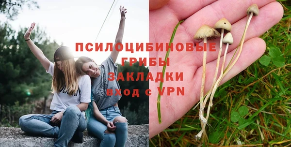 марки nbome Карпинск