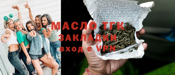хмурый Каменка