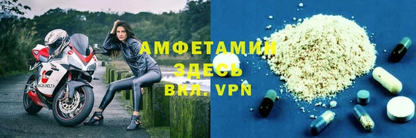 хмурый Каменка