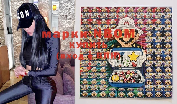 хмурый Каменка